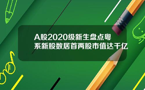 A股2020级新生盘点粤系新股数居首两股市值达千亿