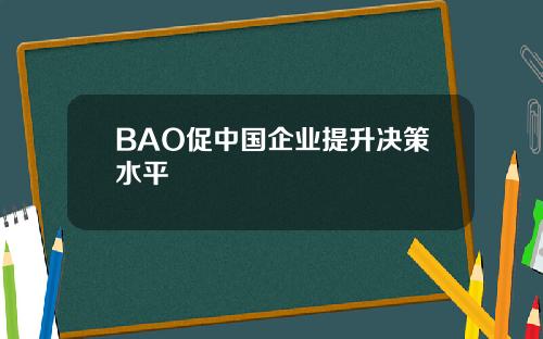 BAO促中国企业提升决策水平