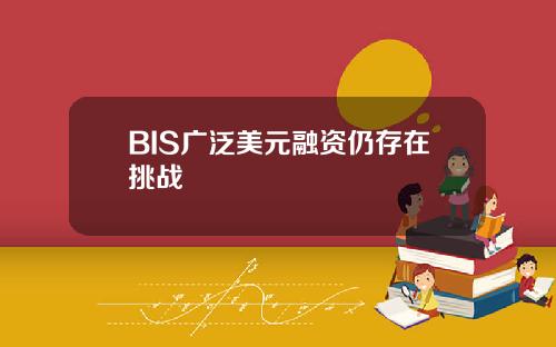BIS广泛美元融资仍存在挑战