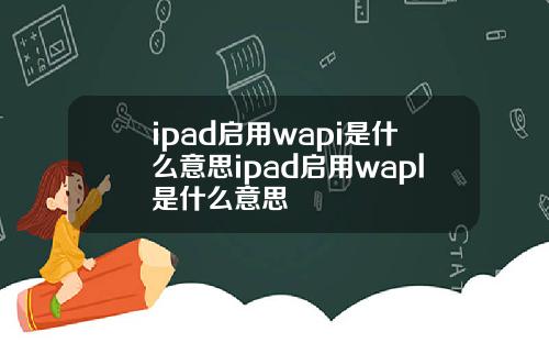 ipad启用wapi是什么意思ipad启用wapl是什么意思