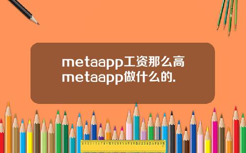 metaapp工资那么高metaapp做什么的.