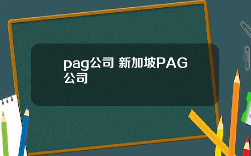 pag公司 新加坡PAG公司