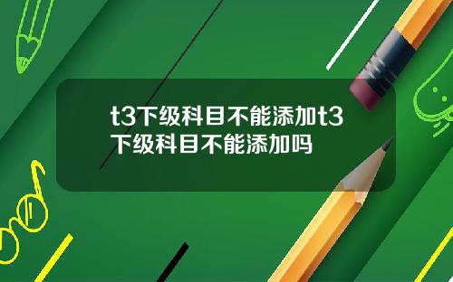 t3下级科目不能添加t3下级科目不能添加吗
