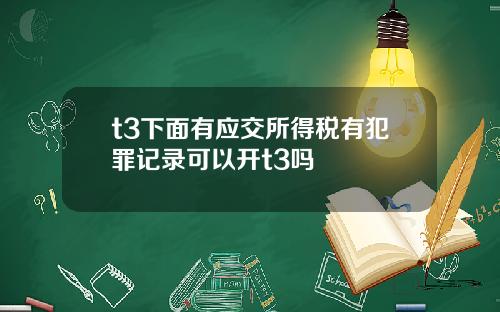 t3下面有应交所得税有犯罪记录可以开t3吗