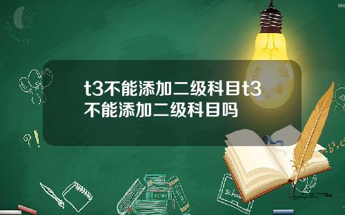 t3不能添加二级科目t3不能添加二级科目吗