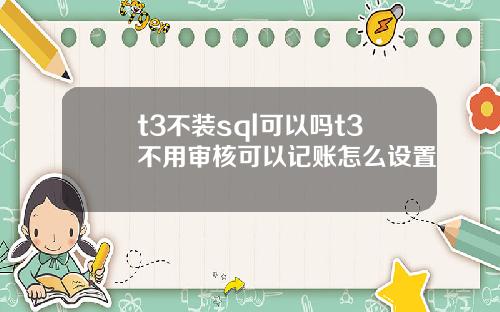t3不装sql可以吗t3不用审核可以记账怎么设置
