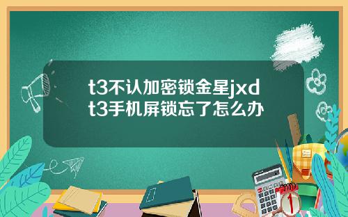 t3不认加密锁金星jxdt3手机屏锁忘了怎么办