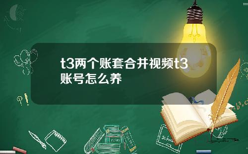t3两个账套合并视频t3账号怎么养