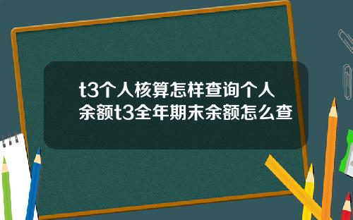 t3个人核算怎样查询个人余额t3全年期末余额怎么查