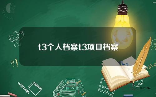 t3个人档案t3项目档案