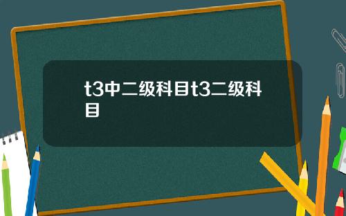 t3中二级科目t3二级科目