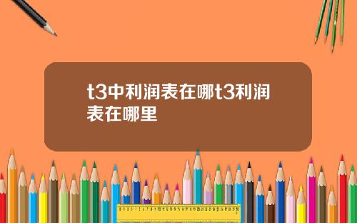 t3中利润表在哪t3利润表在哪里