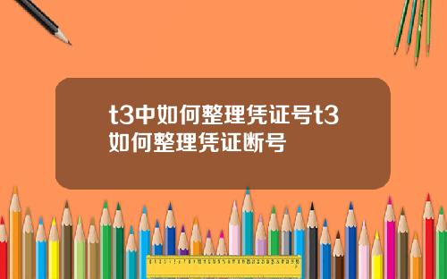 t3中如何整理凭证号t3如何整理凭证断号