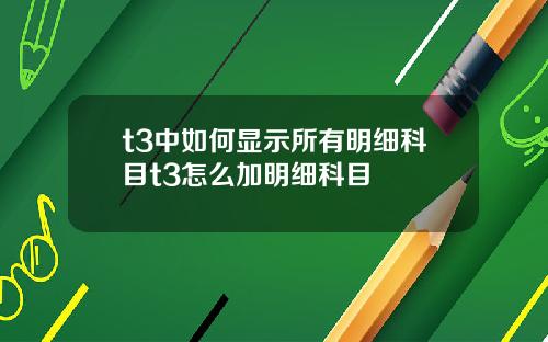t3中如何显示所有明细科目t3怎么加明细科目