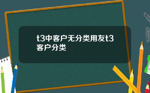 t3中客户无分类用友t3客户分类
