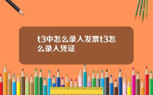 t3中怎么录入发票t3怎么录入凭证