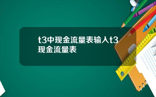 t3中现金流量表输入t3现金流量表