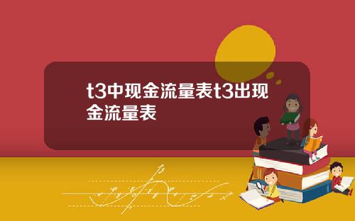 t3中现金流量表t3出现金流量表