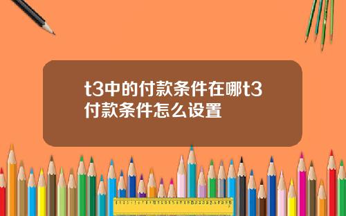 t3中的付款条件在哪t3付款条件怎么设置
