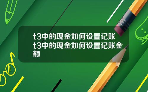 t3中的现金如何设置记账t3中的现金如何设置记账金额