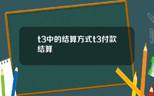 t3中的结算方式t3付款结算