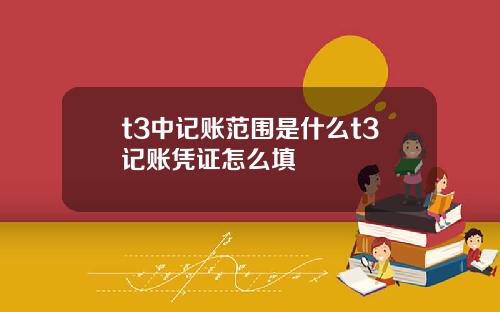 t3中记账范围是什么t3记账凭证怎么填