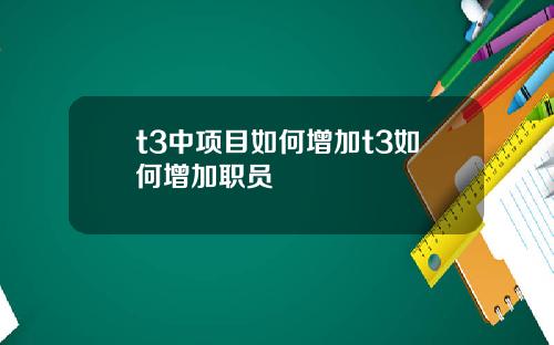 t3中项目如何增加t3如何增加职员