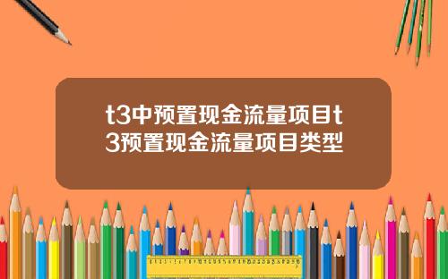 t3中预置现金流量项目t3预置现金流量项目类型