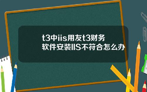 t3中iis用友t3财务软件安装IIS不符合怎么办
