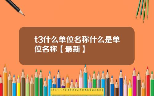 t3什么单位名称什么是单位名称【最新】
