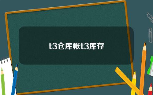 t3仓库帐t3库存