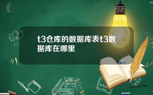 t3仓库的数据库表t3数据库在哪里