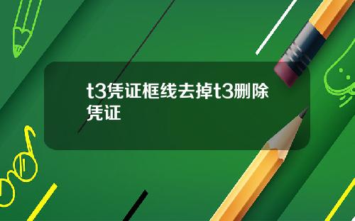 t3凭证框线去掉t3删除凭证
