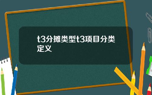 t3分摊类型t3项目分类定义