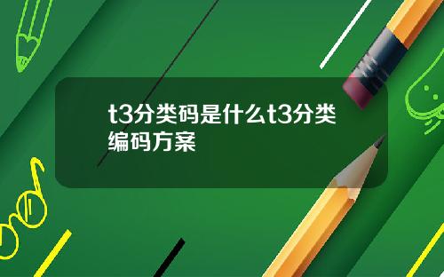 t3分类码是什么t3分类编码方案