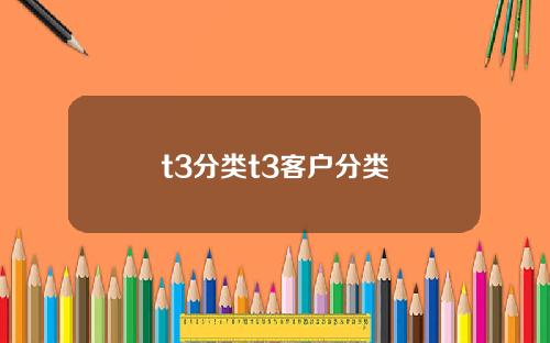 t3分类t3客户分类