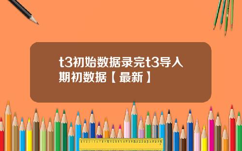 t3初始数据录完t3导入期初数据【最新】