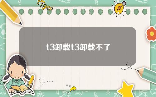 t3卸载t3卸载不了