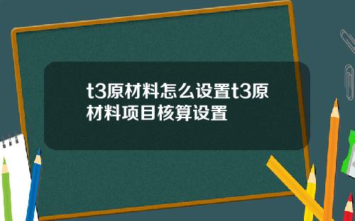 t3原材料怎么设置t3原材料项目核算设置