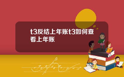 t3反结上年账t3如何查看上年账