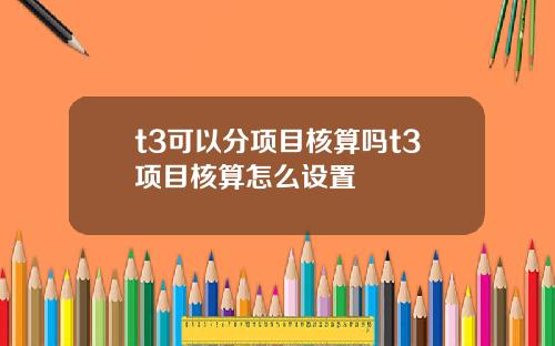 t3可以分项目核算吗t3项目核算怎么设置