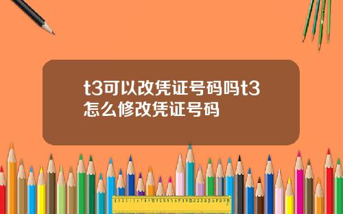 t3可以改凭证号码吗t3怎么修改凭证号码