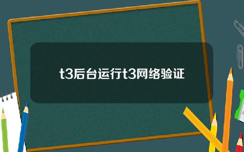 t3后台运行t3网络验证