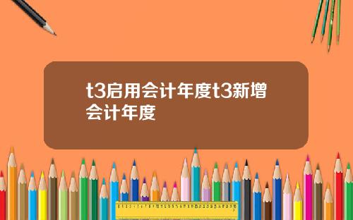 t3启用会计年度t3新增会计年度