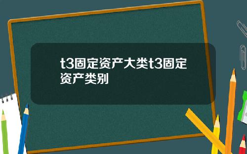 t3固定资产大类t3固定资产类别