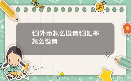 t3外币怎么设置t3汇率怎么设置