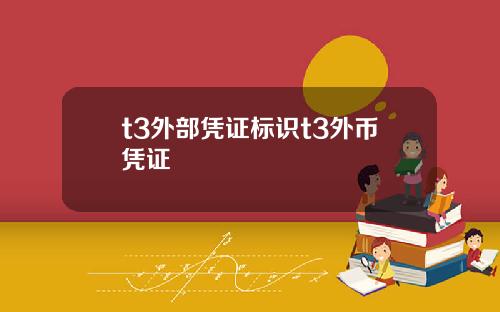 t3外部凭证标识t3外币凭证