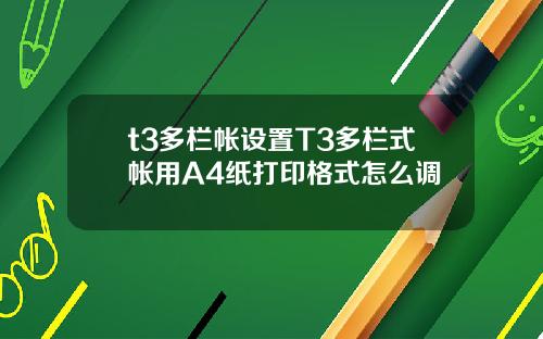 t3多栏帐设置T3多栏式帐用A4纸打印格式怎么调