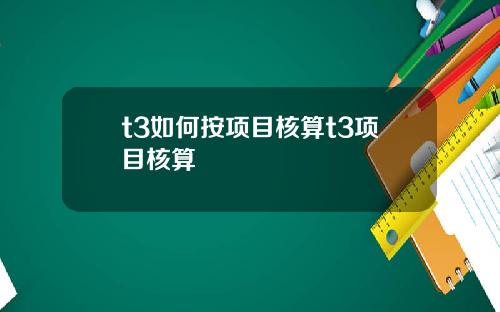 t3如何按项目核算t3项目核算