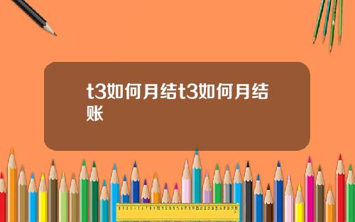 t3如何月结t3如何月结账